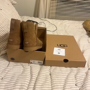Brand new chestnut Ugg boots